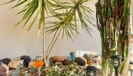 Resale - Wohnung - Torrevieja - Punta Prima