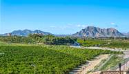 Revente - Appartement - Algorfa - Inland