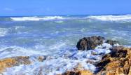 Revente - Commercial - Torrevieja