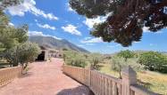 Revente - Country House - Algueña - Inland
