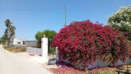 Revente - Country House - Daya Nueva - Costa Blanca