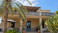 Revente - Country House - Elche - Costa Blanca