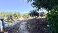 Revente - Country House - La Marina - Costa Blanca