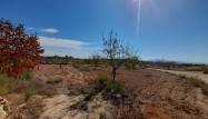 Revente - Country House - Pinoso - Inland