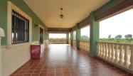 Revente - Finca - Daya Nueva - Comunidad Valenciana