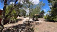 Revente - Finca - Dolores - Comunidad Valenciana