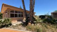 Revente - Finca - Dolores - Comunidad Valenciana