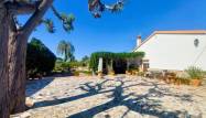 Revente - Finca - La Marina - Costa Blanca