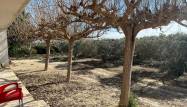 Revente - Finca - Los Montesinos - Comunidad Valenciana