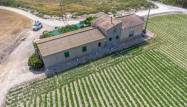 Revente - Finca - Orihuela - Desamparados-hurchillo-torremendo