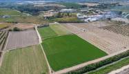 Revente - Finca - Orihuela - Desamparados-hurchillo-torremendo