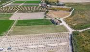 Revente - Finca - Orihuela - Desamparados-hurchillo-torremendo