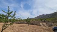Revente - Land - Algueña - Inland