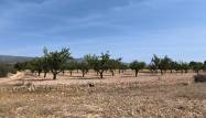 Revente - Land - Monóvar/Monóver - Inland