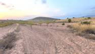 Revente - Land - Pinoso - Inland