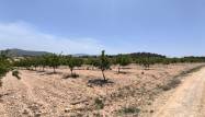 Revente - Land - Pinoso - Inland