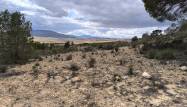 Revente - Land - Pinoso - Inland