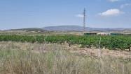 Revente - Land - Pinoso - Inland