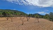 Revente - Land - Pinoso - Inland