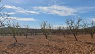 Revente - Land - Pinoso - Inland