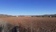 Revente - Land - Pinoso - Inland