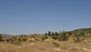Revente - Land - Pinoso - Inland
