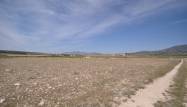 Revente - Land - Pinoso - Inland
