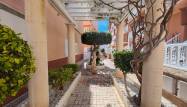 Revente - Penthouse - Torrevieja - Costa Blanca