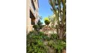 Revente - Penthouse - Torrevieja - Los Frutales