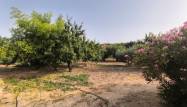 Revente - Property - Pinoso - Inland