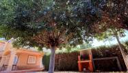 Revente - Town House - Mil Palmeras - Costa Blanca