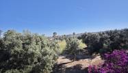 Revente - Villa - Algorfa - Inland