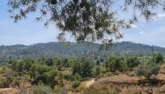Revente - Villa - Monóvar/Monóver - Inland