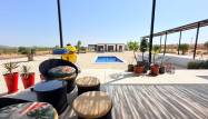 Revente - Villa - Pinoso - Inland