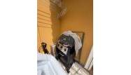 Salg - Bungalow - Torrevieja - Zona Los Frutales
