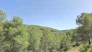 Salg - Country House - Villena - Inland