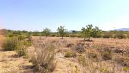 Salg - Country House - Villena - Inland