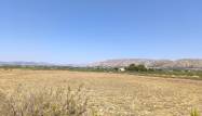 Salg - Country House - Villena - Inland