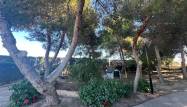 Salg - Finca - Dolores - Comunidad Valenciana