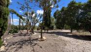 Salg - Finca - Dolores - Comunidad Valenciana