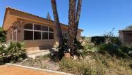 Salg - Finca - Dolores - Comunidad Valenciana