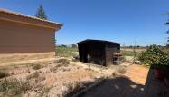 Salg - Finca - Dolores - Comunidad Valenciana