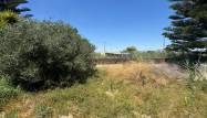 Salg - Finca - Dolores - Comunidad Valenciana