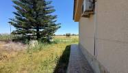 Salg - Finca - Dolores - Comunidad Valenciana