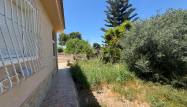 Salg - Finca - Dolores - Comunidad Valenciana