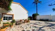 Salg - Finca - La Marina - Costa Blanca