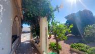 Salg - Finca - La Marina - Costa Blanca