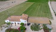Salg - Finca - Orihuela - Desamparados-hurchillo-torremendo