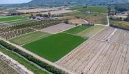 Salg - Finca - Orihuela - Desamparados-hurchillo-torremendo