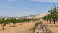 Salg - Land - Algueña - Inland